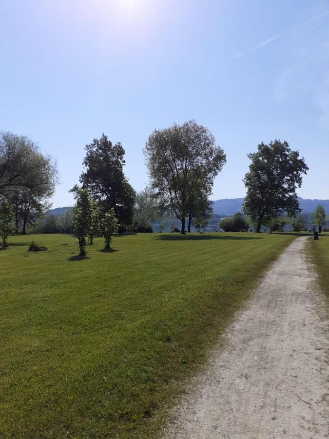 Hoamat#Am#See Seekirchen am Wallersee Dış mekan fotoğraf